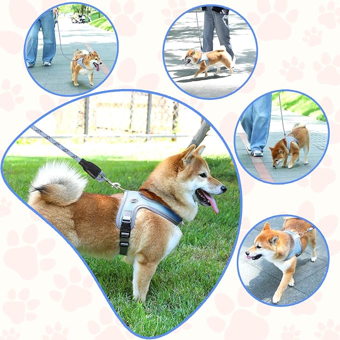 Dog Harness and Leash Set, No Pull Saddle Style Pet Harness, Breathable Mesh Adjustable Reflective Dog Vest for Medium Small Dogs Harness 2 D-Rings, Blue, XS - Image 6
