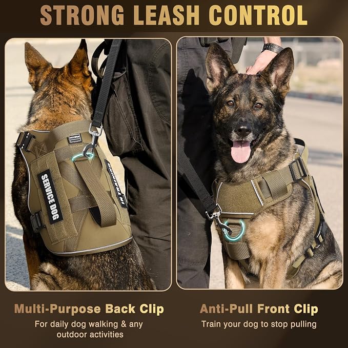 2X Metal Buckle Service Working MOLLE Dog Vest with 10 Pet Patches | Tactical Dog Harness for Medium Dog, No-pull Military Working Vest for Training Hunting Walking，2x D Rings for Leash Clip - Image 3