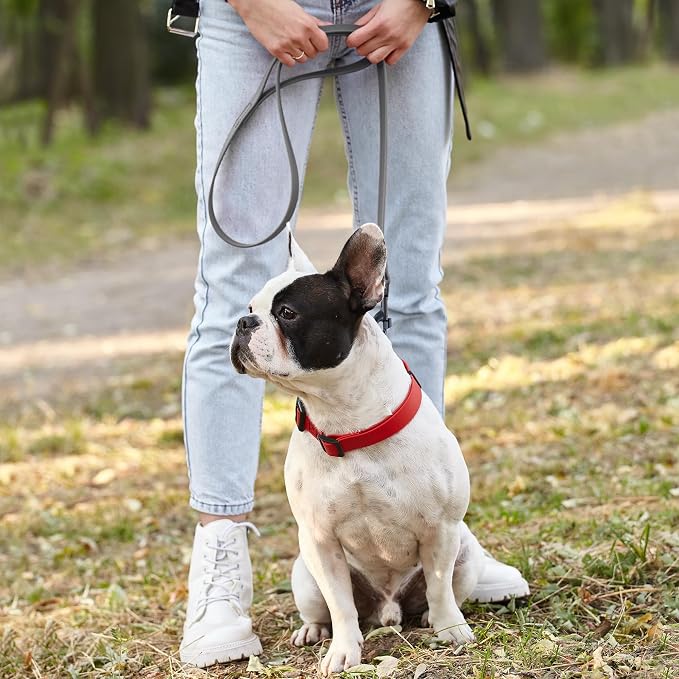 Dogline Biothane Waterproof Dog Leash Strong Coated Nylon Webbing with Black Hardware Odor-Proof Easy to Clean High Performance for Small or Large Dogs Made in USA 4 or 6 ft Lead, Battleship Gray - Image 7