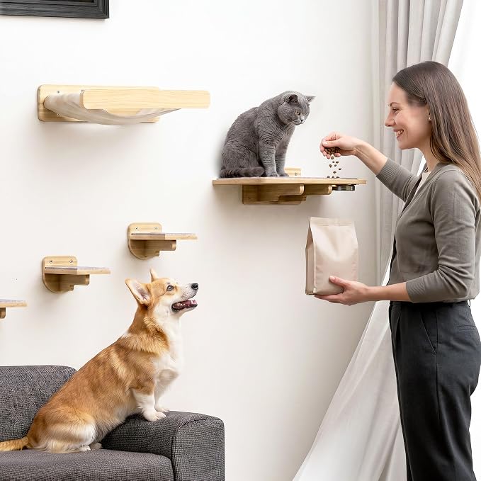 Cat Wall Shelves - Wall Mounted Cat Shelves with Feeding Station | Solid Pinewood, Beige Carpet, Supports Up to 33 lbs, Stainless Bowls, Dog-proof, Lounging, Climbing - Image 7