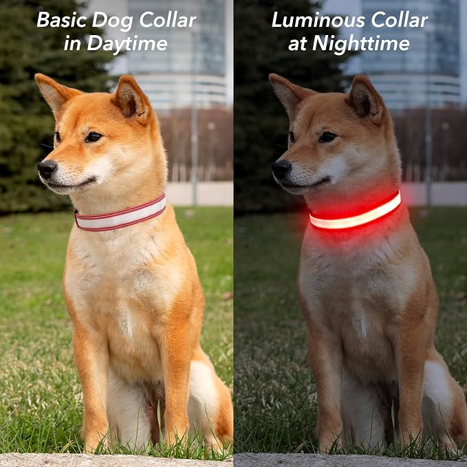 Visinite LED Dog Collar USB Rechargeable, Reflective Light Up Pet Collar for Night Walking, Adjustable Glow Collar for Small Medium Large Dogs(Red, M) - Image 5