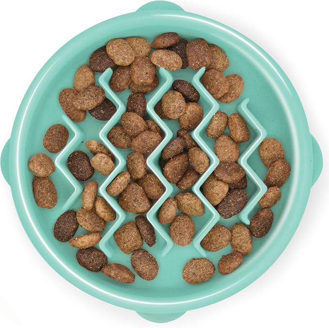 Outward Hound Fun Feeder Slo Bowl – Small 3/4-Cup Capacity, Slow Feeding, Small Dogs, Puppies & Cats, Non-Slip, Mint, Wave Pattern | Slows Fast Eaters, Can Aid Digestion, Holds 3/4 Cup Dry or Wet Food, Non-Slip Base, No BPA, Small Dogs, Puppies & Cats by OutwardHound