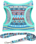 Step in Boy Dog Harness Leash Set- All Weather Reflective No-Pull Padded Mesh Vest Harness for Cats Puppy Extra-Small Small Medium Large Dogs - Mayan Mysteries - S by MOONPET