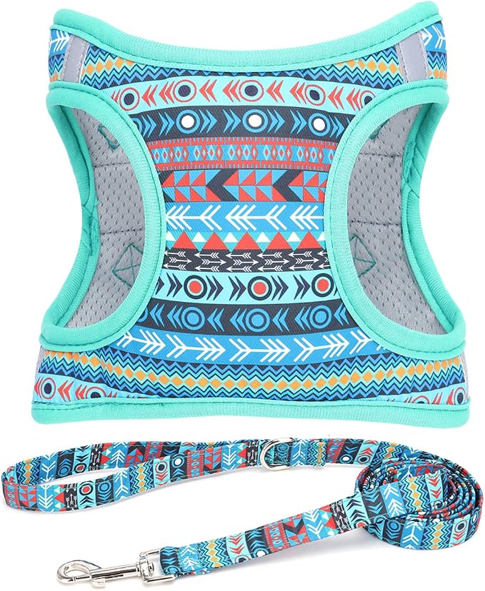 Step in Boy Dog Harness Leash Set- All Weather Reflective No-Pull Padded Mesh Vest Harness for Cats Puppy Extra-Small Small Medium Large Dogs - Mayan Mysteries - S by MOONPET