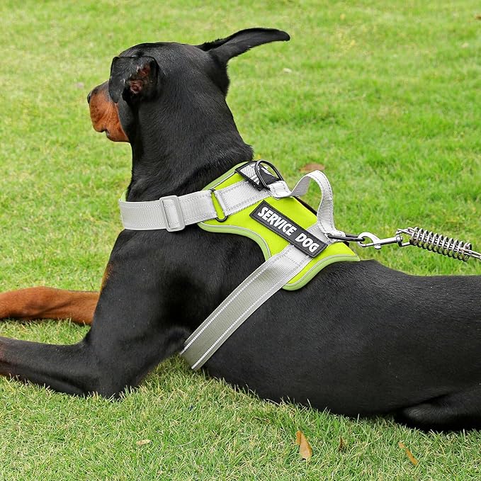 Service Dog Harness - Image 6