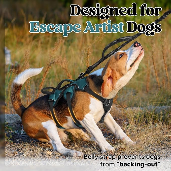 rabbitgoo Escape Proof Dog Harness for Small, No Pull with Lift Handle | No Escape, Full Soft Padded, Reflective Adjustable Vest, Leash Clip for Walking Hiking Training, Dark Green, Small - Image 2