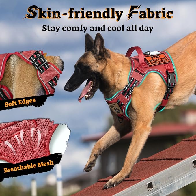 rabbitgoo Tactical Dog Harness for Large Dogs, No Pull Service Pet Vest | Military Molle System & Easy Control Handle, Adjustable and Reflective for Walking and Training, Red, Large - Image 4