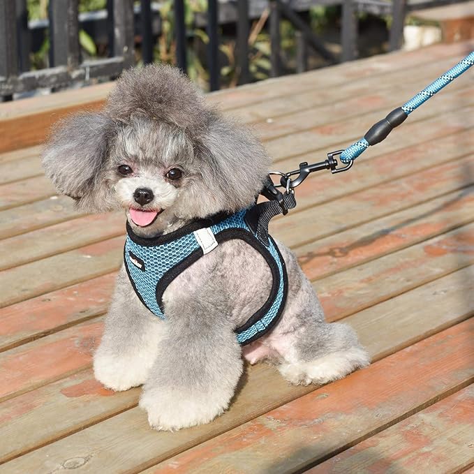 Dog Harness Step-in Breathable Puppy Cat Dog Vest Harnesses for Small Medium Dogs - Image 6