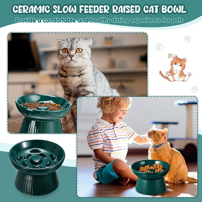 Tioncy 1 Pcs Ceramic Elevated Slow Feeder Cat Bowl, Raised Cat Slow Feeder Bowl, Anti Vomiting for Dry and Wet Food, No Spill High Edge Easy Clean Dishwasher Safe (Dark Green) - Image 6