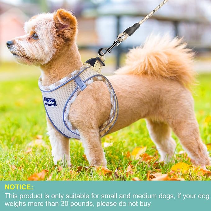 haapaw Dog Harness with Leash Set, No Pull Adjustable Reflective Step-in Puppy Harness with Thickened Padded Vest for Extra-Small/Small Medium Dogs - Image 4