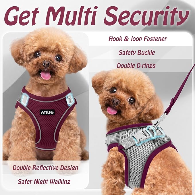 AIITLE Dog Harness and Leash Set, Step-in Puppy Pet Vest, Burgundy M | Breathable Mesh, Adjustable Fit, Reflective Design, Padded Leash Handle, for Small-Medium Dogs & Cats, Walking, Training - Image 6