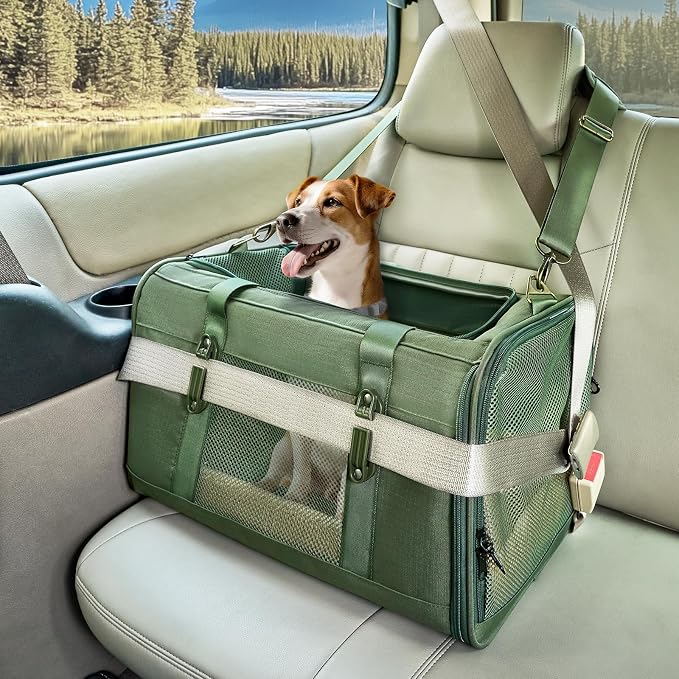 Petsfit 19x12x12 Pet Carrier for Large Cats (up to 20 lbs), Soft-Sided Small Dog Travel Carrier, Upgraded with Patented Buckle and Soft Padding, Ideal for Car Road Trips Green by Petsfit