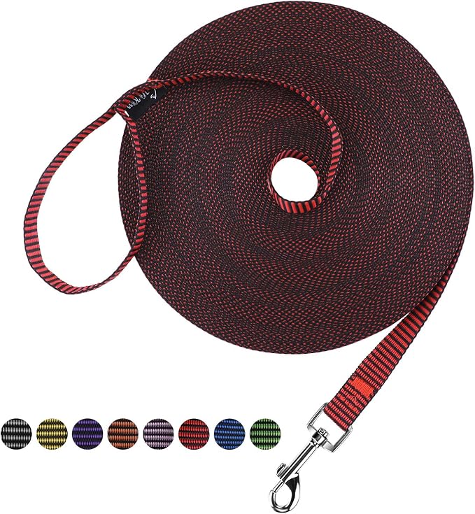Hi Kiss Dog/Puppy Obedience Recall Training Agility Lead - 15ft 20ft 30ft 50ft 100ft Training Leash - Great for Training, Play, Camping, or Backyard(30ft,Black_red) by HiKiss
