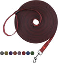 Hi Kiss Dog/Puppy Obedience Recall Training Agility Lead - 15ft 20ft 30ft 50ft 100ft Training Leash - Great for Training, Play, Camping, or Backyard(30ft,Black_red) by HiKiss