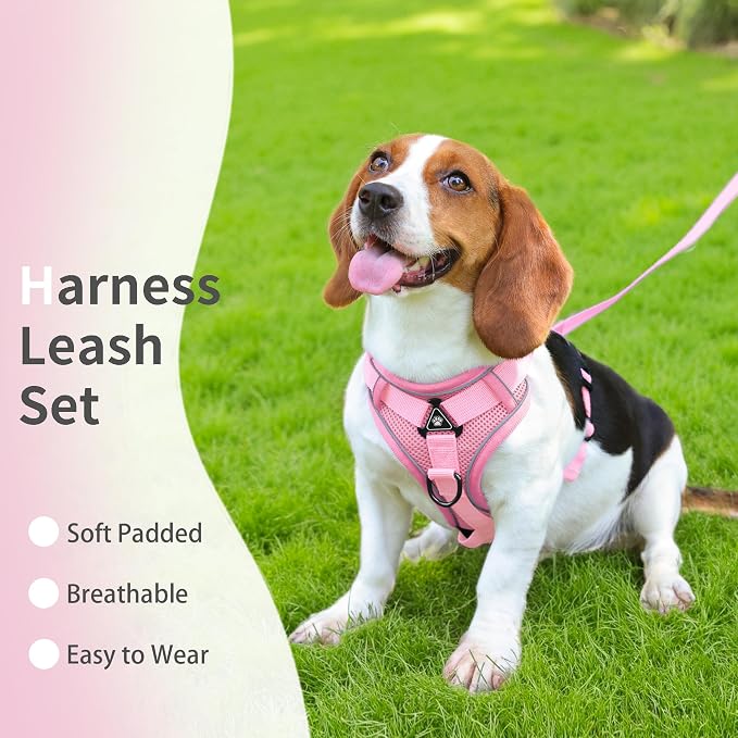 Dog Harness Small Sized Dog Pet Vest with Leash Set Pink S | Adjustable Puppy Vest Harness, No Choke No Pull, Soft Padded, Step-in Dog Vest, Reflective Cat Harness, Breathable Air Mesh - Image 2