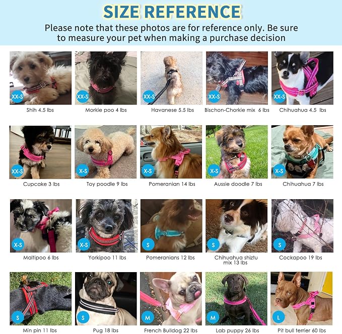 Lukovee Small Dog Harness and Leash Set, No Pull Soft Padded Vest | Both Neck & Chest Adjustable, Reflective, Puppy Harness with 4ft Lightweight Anti-Twist Dog Leash for Small Dogs (Fu,XXS) - Image 8