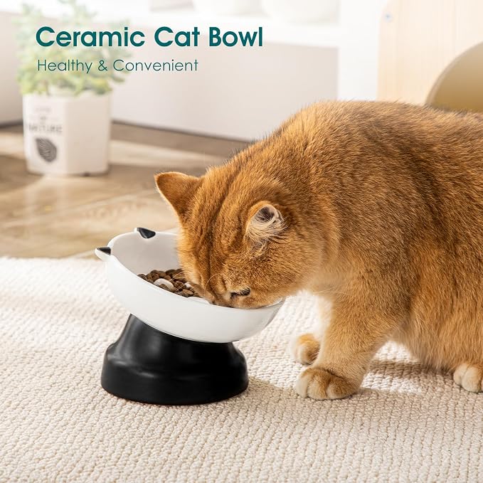 vancasso Slow Feeder Cat Bowls, Ceramic Elevated Slow Feeder Cat Bowls, Raised Food Bowl for Wet Food (Black) - Image 6
