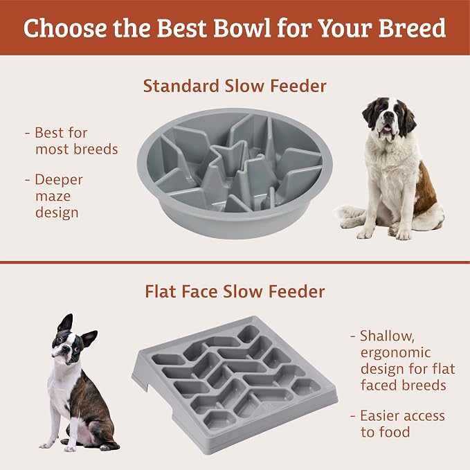 Leash BOSS Raised PET FEEDERS Slow Feed Dog Bowl, 4-Cup, Gray - Image 7