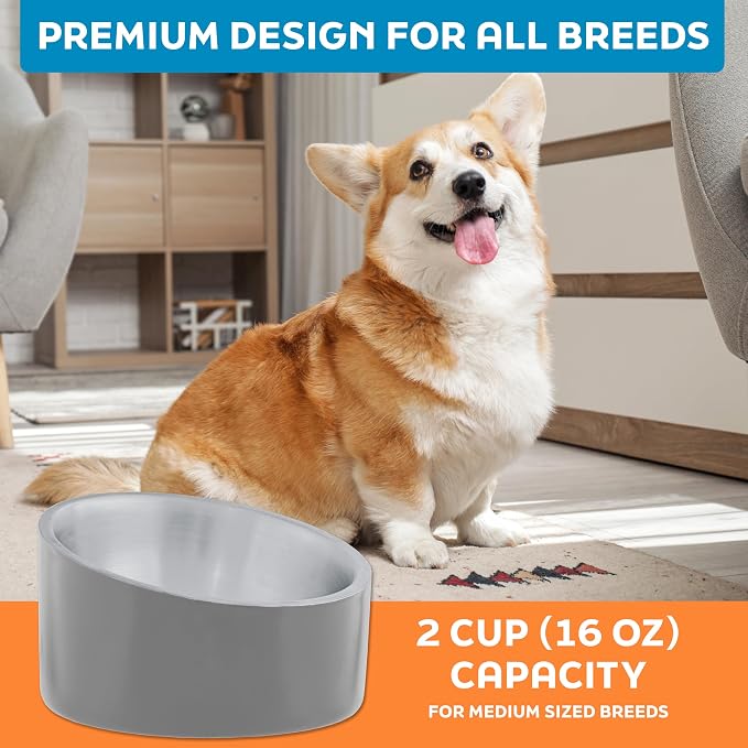 Master Pet Supply Stainless Steel Slanted Dog Cat Food Bowl 16 oz Graphite | Heavy Duty Double Wall Insulated, Non-Slip Elevated Bowl for French Bulldogs, Pugs, Cats, Anti Rust, Dishwasher Safe - Image 7