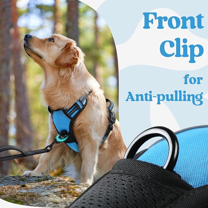 rabbitgoo Dog Harness Medium Sized, Updated Easy On & Off with 3 Buckles | No Pull No Choke, Walking with 2 Clips and Handle, Adjustable Soft Reflective, Sky Blue, Medium - Image 7