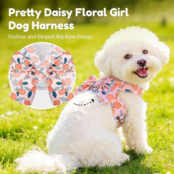 BAEJMJK Dog Harness and Leash Set with Bow Knot No Pull Pet Floral Harness with D-Ring Soft Mesh Dog Harness Vest Set Escape Proof Princess Puppy Harness for Small Girl Dogs Cats（Orange L） - Image 2