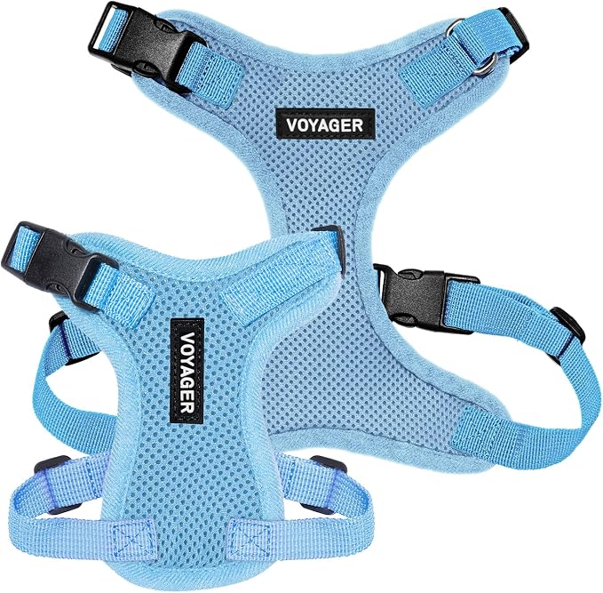 Voyager Step-in Lock Dog Harness - Baby Blue, Large | 20 - 25" in Chest, Adjustable, Breathable Air Mesh, Lightweight for Daily Walks, Strong Clips, Heavy Duty D-Ring - Image 6