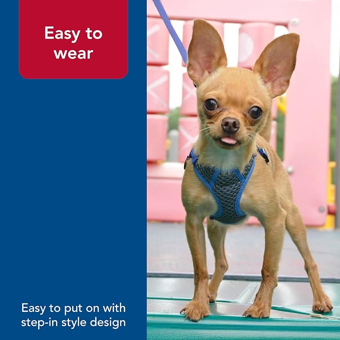Coastal Pet Comfort Soft Sport Wrap Adjustable Dog Harness - Large & Small Dog Harness - Durable Harness for Dogs with Mesh Chest Pad - Grey with Blue, 5/8" x 16-19" - Image 5
