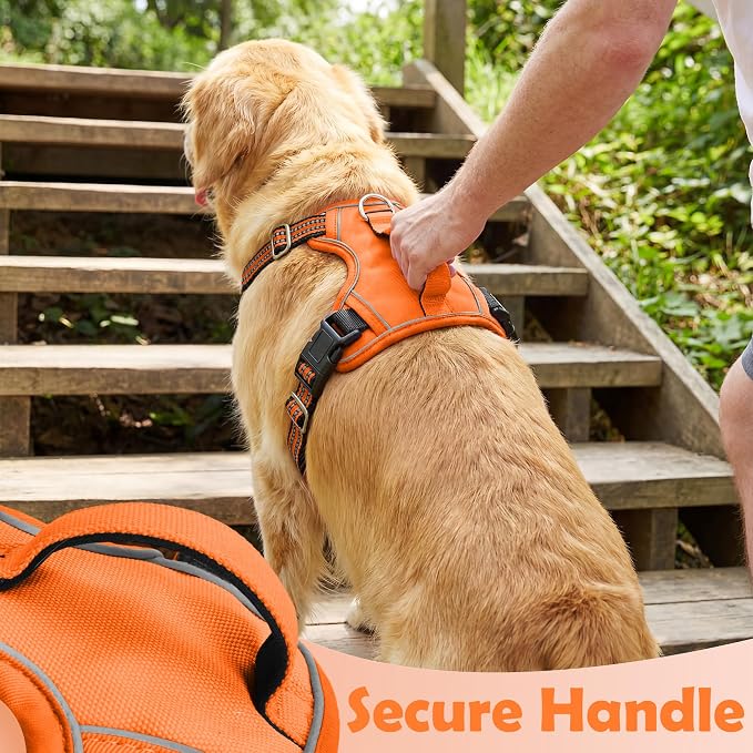 Dog Harness No Pull, Adjustable Pet Vest Harness, Super Soft Material with Vertical Handle Easy Control, Reflective Night Walking, 2 Leash Clips for Medium Sized Dogs, Orange, M - Image 5