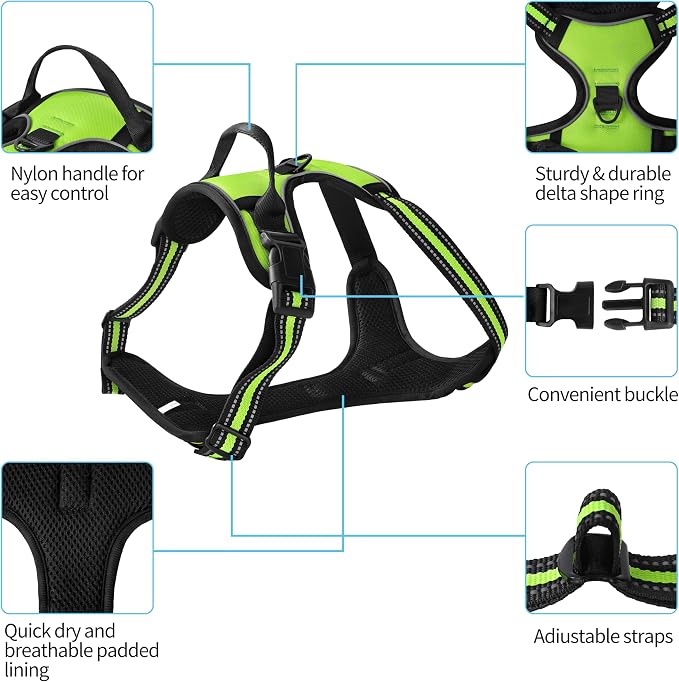 Green No-Pull Dog Harness with 2 Leash Clips，Soft Padded Vest for Small Dog, Adjustable Reflective Dog Vest Easy to Put on and Take Off,(Neck: 13"~17", Chest: 17"~21",Green Small) - Image 2