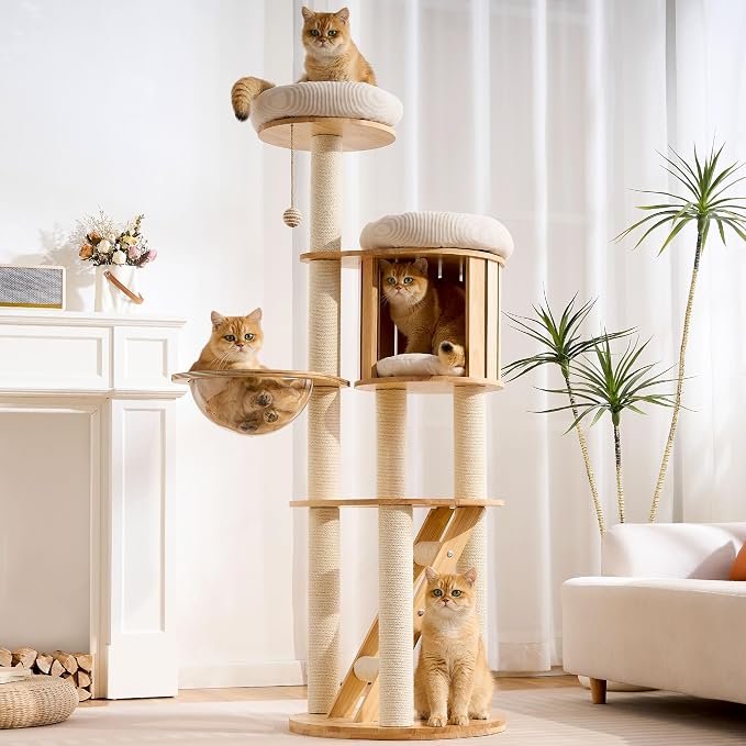 Solid Wood Cat Tree Tower with Scratching Post, 61 Inches Tall Cat Towers with Capsule and Condo, Modern Cat Tower with Hammock and Removable Top Bed for Indoor Cats.White by HITTITE