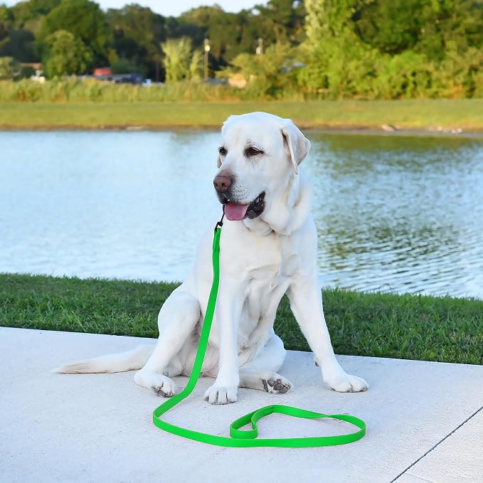 Dogline Biothane Waterproof Dog Leash Strong Coated Nylon Webbing with Black Hardware Odor-Proof Easy to Clean High Performance for Small or Large Dogs Made in USA 4 or 6 ft Lead, Tropical Green - Image 5