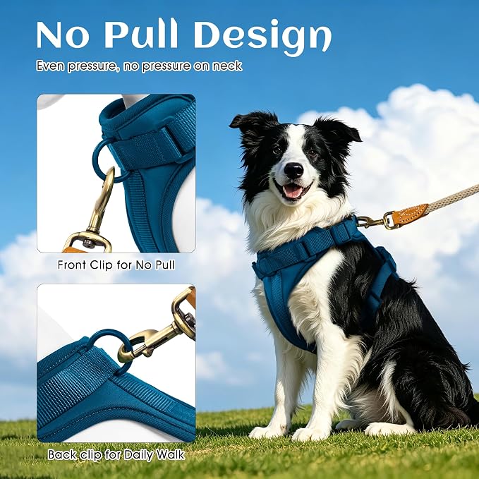 Wisedog Lightweight No Pull Dog Harness, Navy, Small | Air Mesh, 3 Clips, Adjustable, No Choke Design, Ideal for Walking Training - Image 4