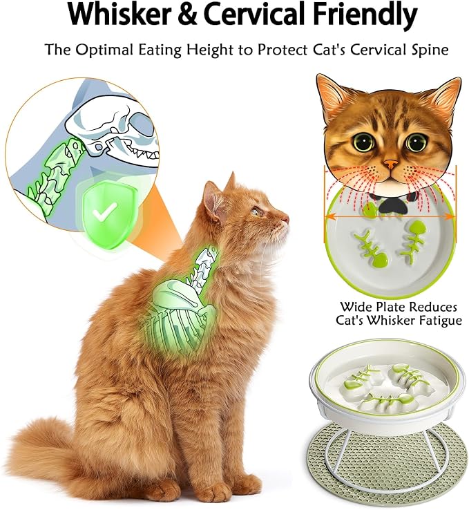 Ceramic Elevated Slow Feeder Cat Bowl, Anti Vomit, Removable Dish, Green | Removable Ceramic Bowl Elevated Anti Vomit Whisker-Friendly Wet & Dry Food Green Glazed Finish - Image 6
