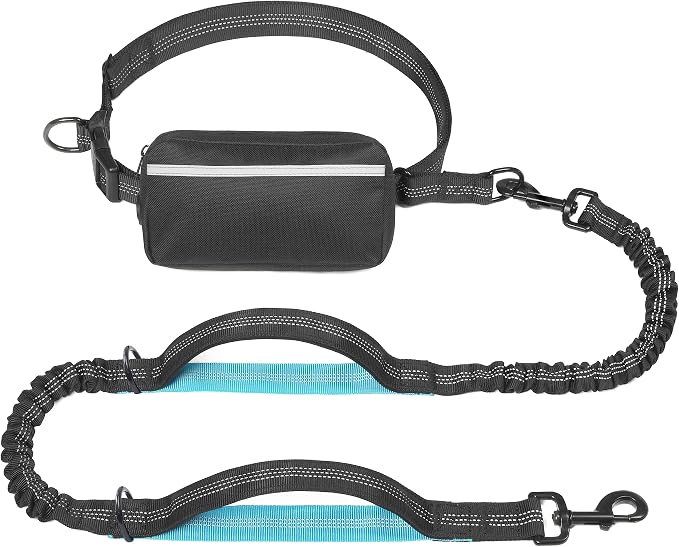 Hands Free Dog Leash with Zipper Pouch, Medium, 8-25 lbs, Black | Waist Leash, Dual Padded Handles, Shock-Absorbing Bungee, Adjustable Waist Belt, Walking and Running by iYoShop