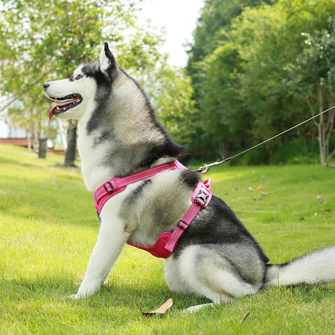 Voyager Dog Harness Dual Leash Attachment No-Pull Control Adjustable Soft but Strong Pet Harness for Medium and Large Dogs with 3M Reflective Technology, Leash Set Fuchsia Nylon, S (Chest: 16-20") - Image 7