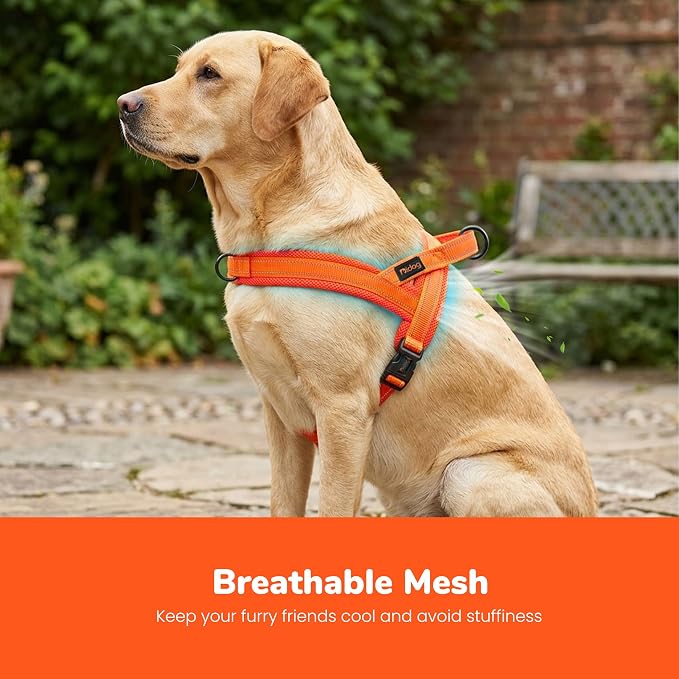 No Pull Dog Harness for Large Dogs, Breathable Mesh Padded, Orange, L | Quick Fit, Easy On and Off, Lightweight, Reflective Vest Harness for Night Safty, Easy for Walking and Training, Chest 26-32" - Image 2
