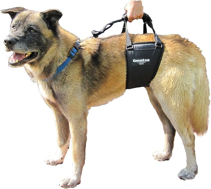Dog Support Harness, Rear End Lift Sling, Tall Male, Made in USA | Fits Tall, Lean Dogs like Greyhounds or Great Danes, Padded Mobility Aid, Help Pets Walk or Balance, Machine Wash & Dry - Image 7