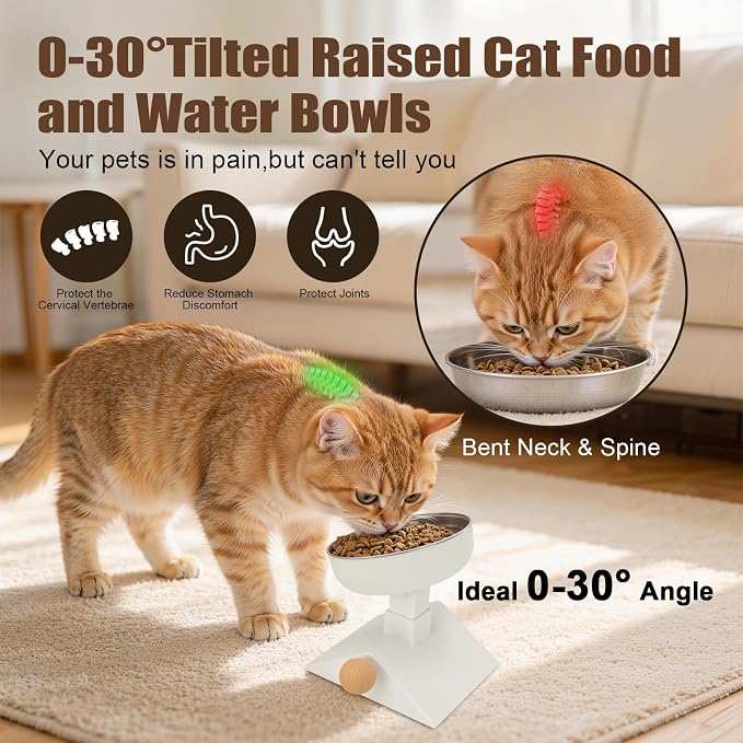 Elevated Cat Bowl, 4 Heights Stainless Steel Raised Stand | 18oz, adjustable height, whisker friendly, neck protect, food water bowls, indoor cats puppy, non slip, dishwasher - Image 5