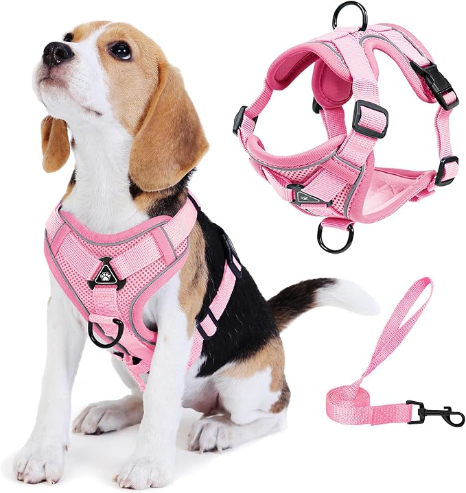 Dog Harness Medium Sized Dog Pet Vest with Leash Set Pink XL | Adjustable Puppy Vest Harness, No Choke No Pull, Soft Padded, Step-in Dog Vest, Reflective Cat Harness, Breathable Air Mesh by Unknown