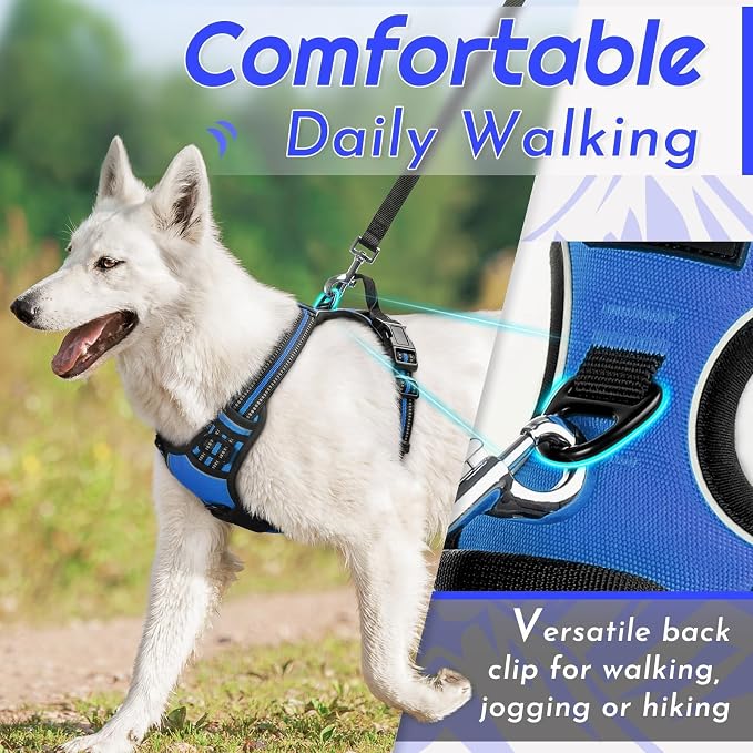 Eagloo Dog Harness for Small Dogs, No Pull Pet Vest with 2 Leash Clips | No Choke with Handle, Adjustable Comfort Fit, Reflective Strips, Easy Walking Control, Blue, Small - Image 4