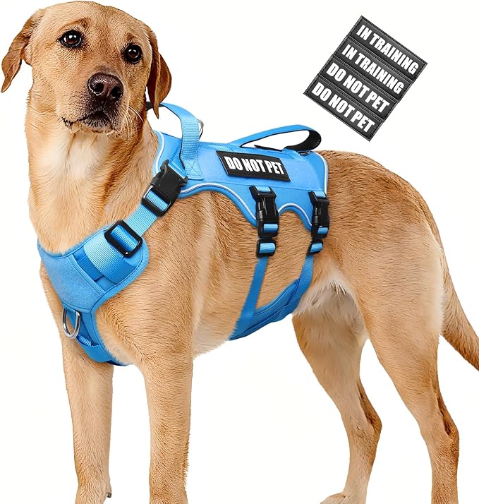 WINSEE Escape Proof Dog Harness with Double Handle+4 Removable Patches | Service Working Molle Harness with Double Handle for Large Dogs, Tactical Pet Reflective Vest for Walking Hiking Hunting by WINSEE