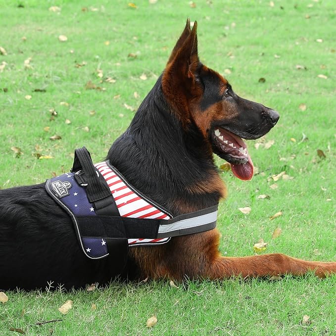 Dog Harness, No-Pull Reflective Dog Vest, Breathable Adjustable Pet Harness with Handle for Outdoor Walking - No More Pulling, Tugging or Choking (Flag, Medium) - Image 6
