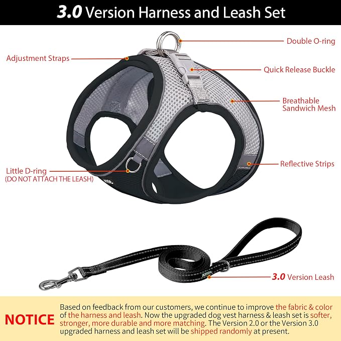 AIITLE Medium Dog Harness and Leash Set, Step-in Puppy Pet Vest, Black M | Breathable Mesh, Adjustable Fit, Reflective Design, Padded Leash Handle, for Small-Medium Dogs & Cats, Walking, Training - Image 4