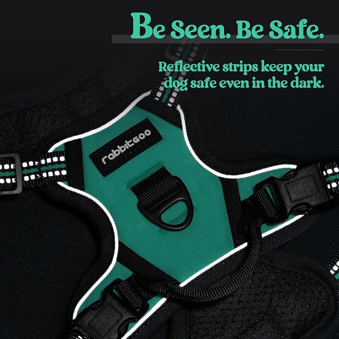 rabbitgoo Dog Harness, No Pull for Small Dogs with 2 Leash Clips, Pet Vest | No Choke with Handle, Adjustable Soft Padded, Reflective, Easy Control for Walking, Turquoise, X-Small - Image 7