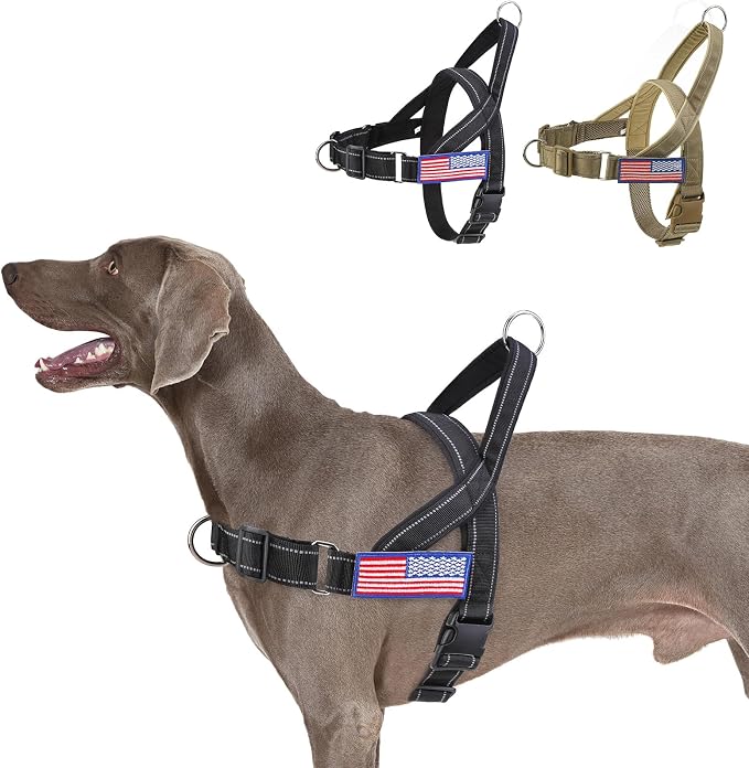 BINGPET No Pull Dog Harness for Large Dogs | Escape-Proof & No-Choke | Soft Padded Vest with Handle & Reflective Front Clip | Quick-Fit for Training, Hiking & Daily Walks | Black, L by BINGPET