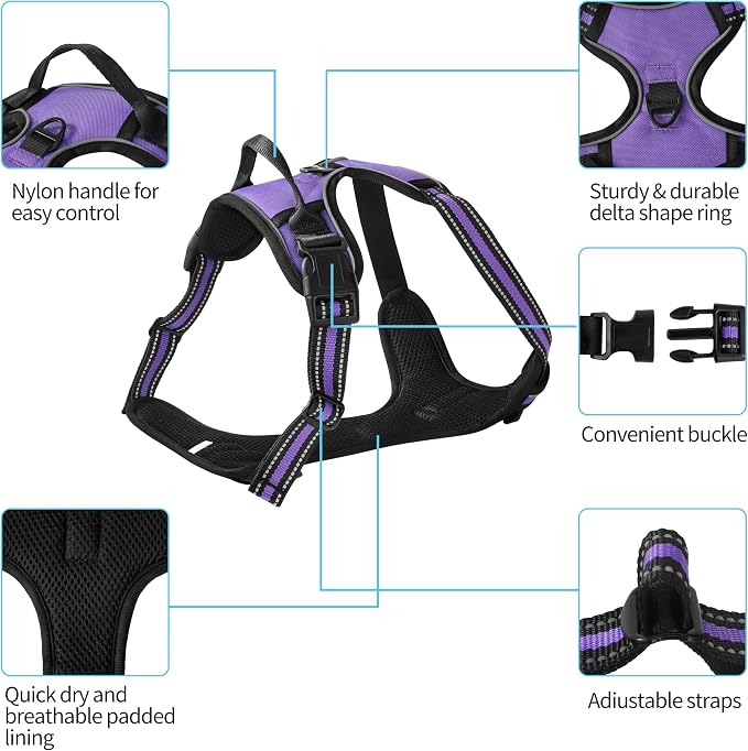 Purple No-Pull Dog Harness with 2 Leash Clips，Soft Padded Vest for Medium Dog, Adjustable Reflective Dog Vest Easy to Put on and Take Off, (Neck: 14"~20", Chest: 21"~27", Purple M) - Image 2