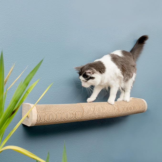 Floating Cat Shelf & Perch – Wall-Mounted Climbing Furniture for Cats - Moonbeam Path | Ascentials by FurHaven - Image 3