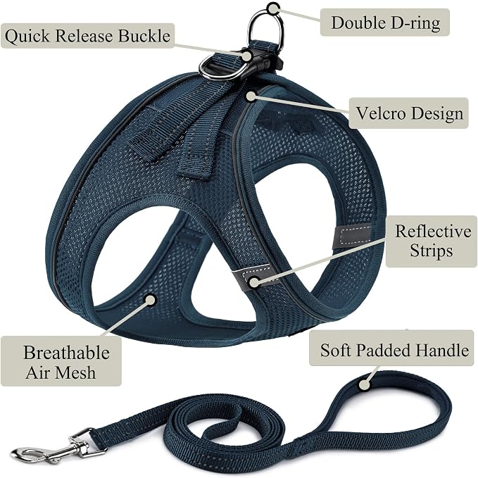 Dog Harness with Leash Set, Step-in Adjustable Puppy Vest, Navy Blue XS | Lightweight Breathable Air Mesh, Night Safety Reflective, No Pull Puppy Vest Harnesses for Small Medium Large Dogs, Cats - Image 2