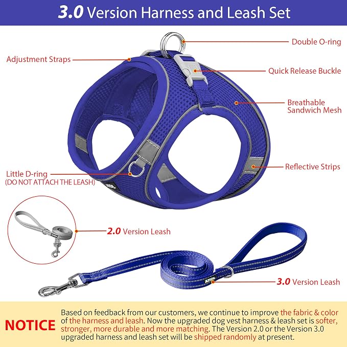 AIITLE Dog Harness and Leash Set, Step-in Puppy Pet Vest, Royal Blue XXS | Breathable Mesh, Adjustable Fit, Reflective Design, Padded Leash Handle, for Small-Medium Dogs & Cats, Walking, Training - Image 4