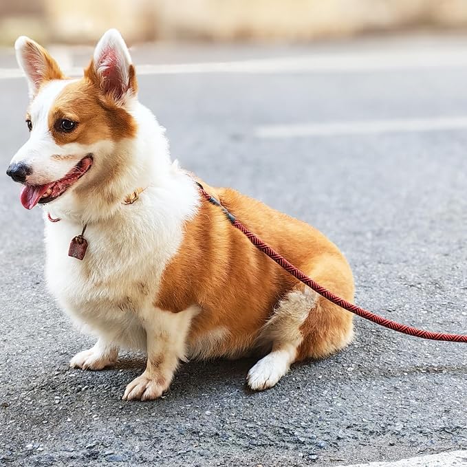 MayPaw Heavy Duty Rope Dog Leash, 3/4/6/7/8/10/12/15/20/30 FT Nylon Pet Leash, Soft Padded Handle Thick Lead Leashes for Large Medium Dogs (red Black, 1/2" * 10') - Image 5